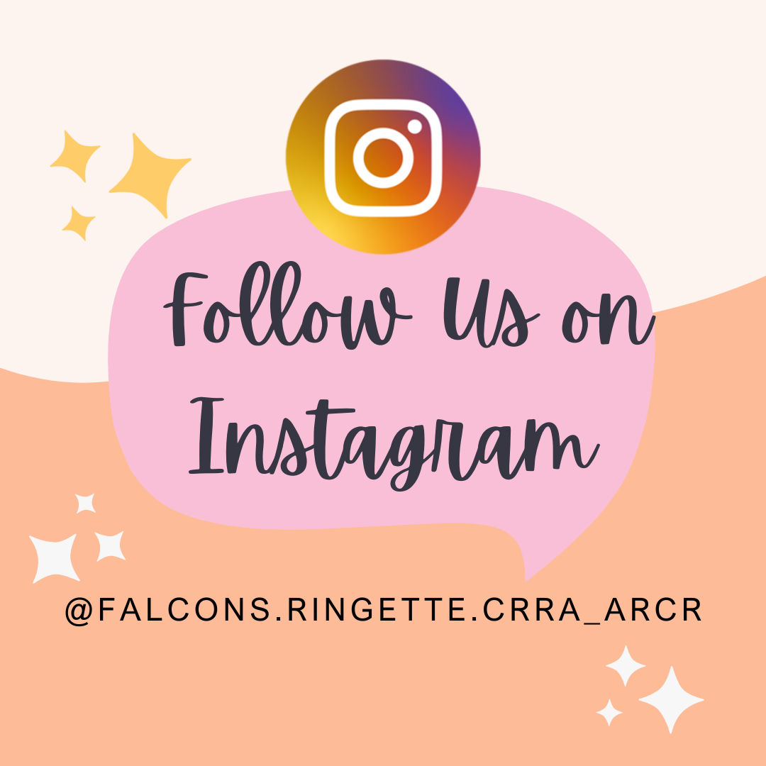 Follow us on Instagram